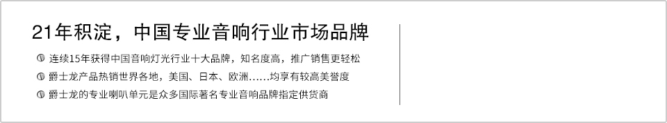21年积淀，中国专业音响行业市场品牌
